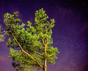 Low angle view of star field against star field