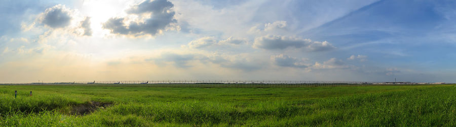 Panoramic view of agricultural field against sky