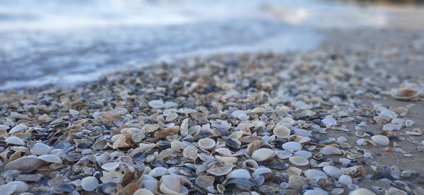 Surface level of stones on beach