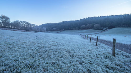 Scenic view of field against clear sky during winter