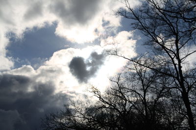 Low angle view of trees against sky