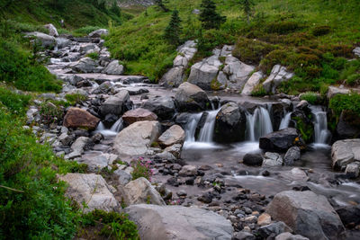 Scenic view of waterfall in forest