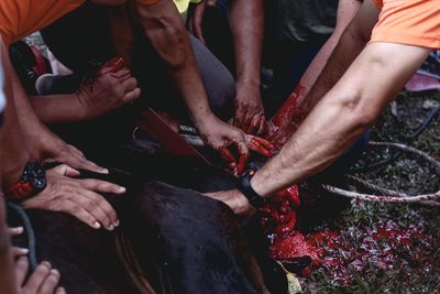 High angle view of people hands in water