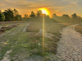 Scenic view of field against sky during sunset