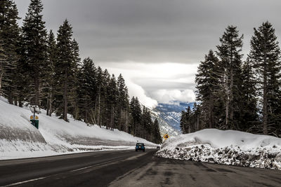 Road amidst trees and snowcapped mountains against sky