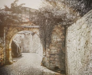 View of trees in built structure