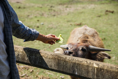 Man feeding on human hand