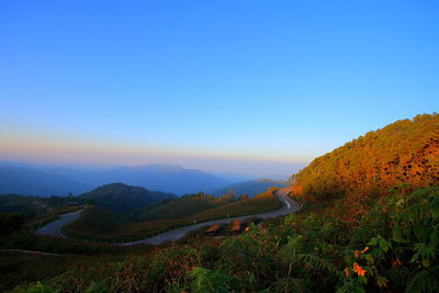 Scenic view of vineyard against blue sky