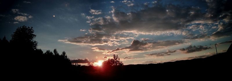 Silhouette trees against sky during sunset