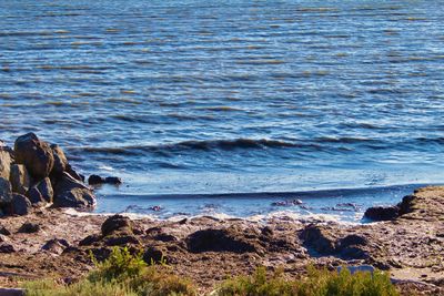 Scenic view of sea shore