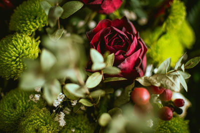 Red roses flowers in a green botanical composition bouquet for a special event