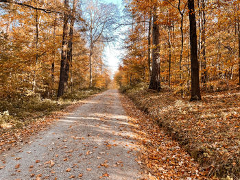 Road amidst trees in forest during autumn