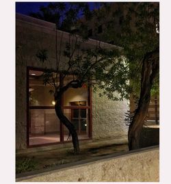 House by tree against sky