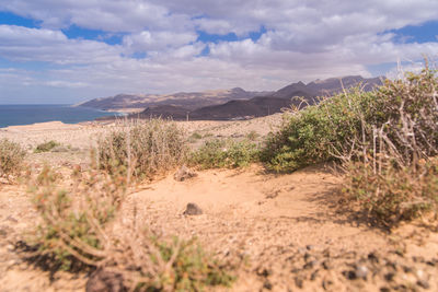 Surface level of land by sea against sky