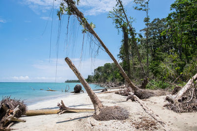 Scenic view of beach against sky