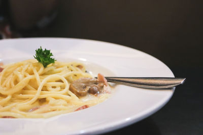 Close-up of noodles served in plate