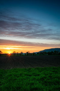 Scenic view of field against sky during sunset