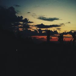Silhouette of trees at sunset