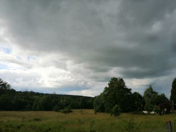 Scenic view of trees on field against sky