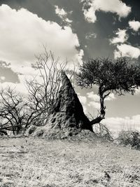 Bare tree on field against sky