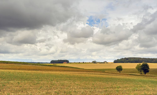 Scenic view of agricultural field against sky