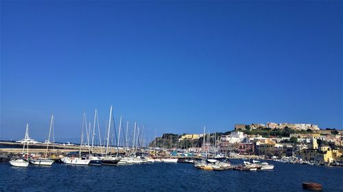 Sailboats in marina