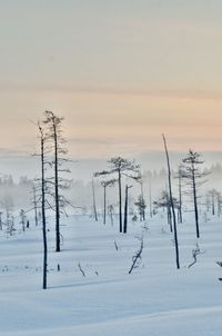 Scenic view of snow covered field against sky at sunset