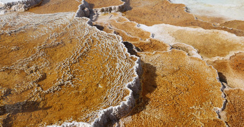 High angle view of rocks on land