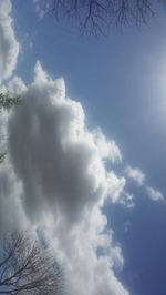Low angle view of trees against cloudy sky