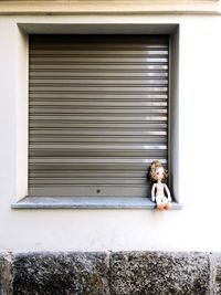 Portrait of dog with closed window