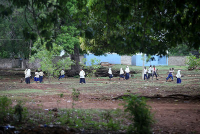 People on field against trees