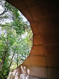 Low angle view of trees against wall