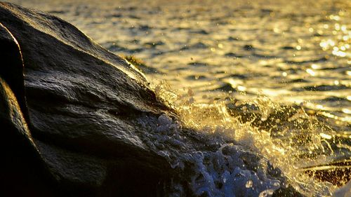 Close-up of splashing water