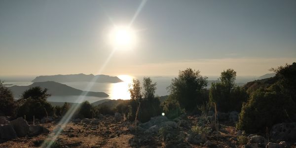 Scenic view of sun shining through trees during sunset