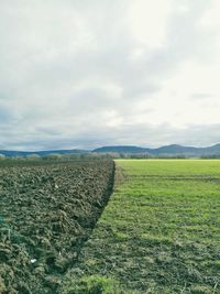 Scenic view of field against sky