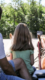 Rear view of people sitting in park