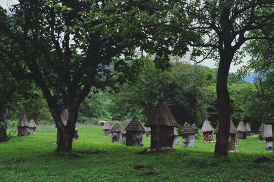 Trees in park