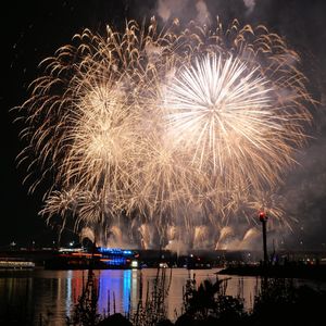 Low angle view of firework display at night