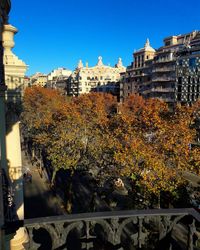 Trees in city against clear sky