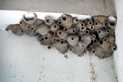 Low angle view of mud shelter