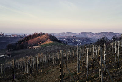 Scenic view of vineyard against sky during sunset