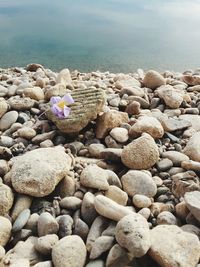 Stones on rocks at beach