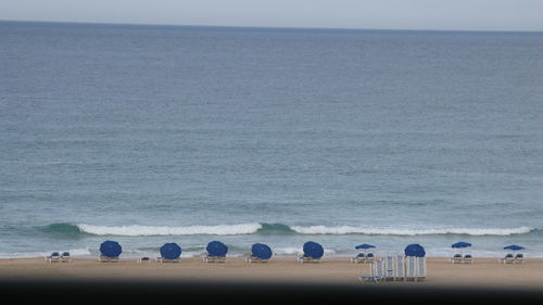 Blue umbrellas and lounge chairs on shore at beach