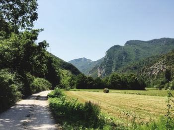 Scenic view of agricultural field against clear sky
