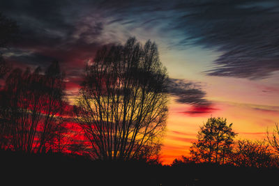 Silhouette trees against dramatic sky during sunset