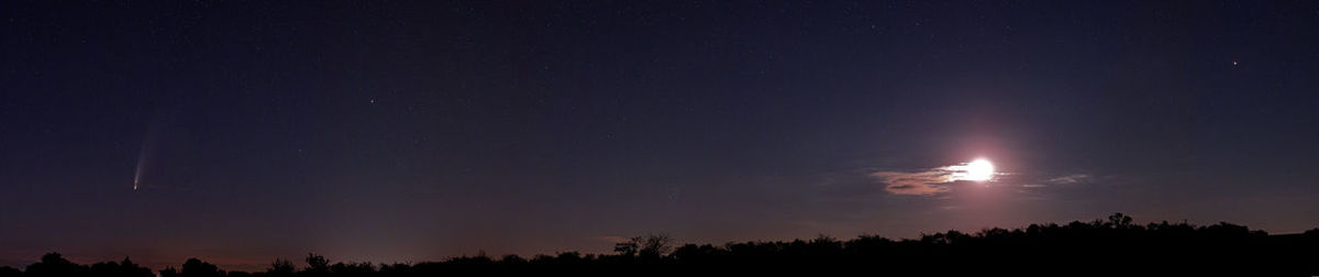 Low angle view of silhouette trees against sky at night