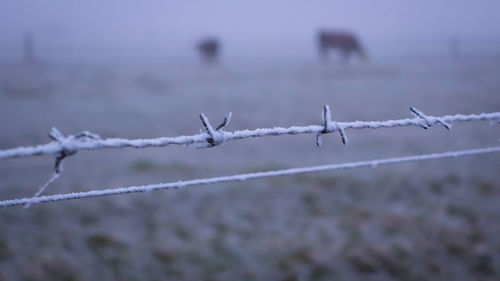 Close-up of snow against sky