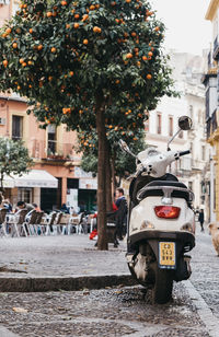 Cars on street by buildings in city