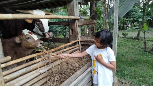 Girl standing in a horse