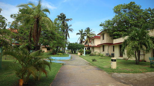 Footpath by palm trees and houses against sky
